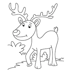 230x230 Top 20 Free Printable Reindeer Coloring Pages Online