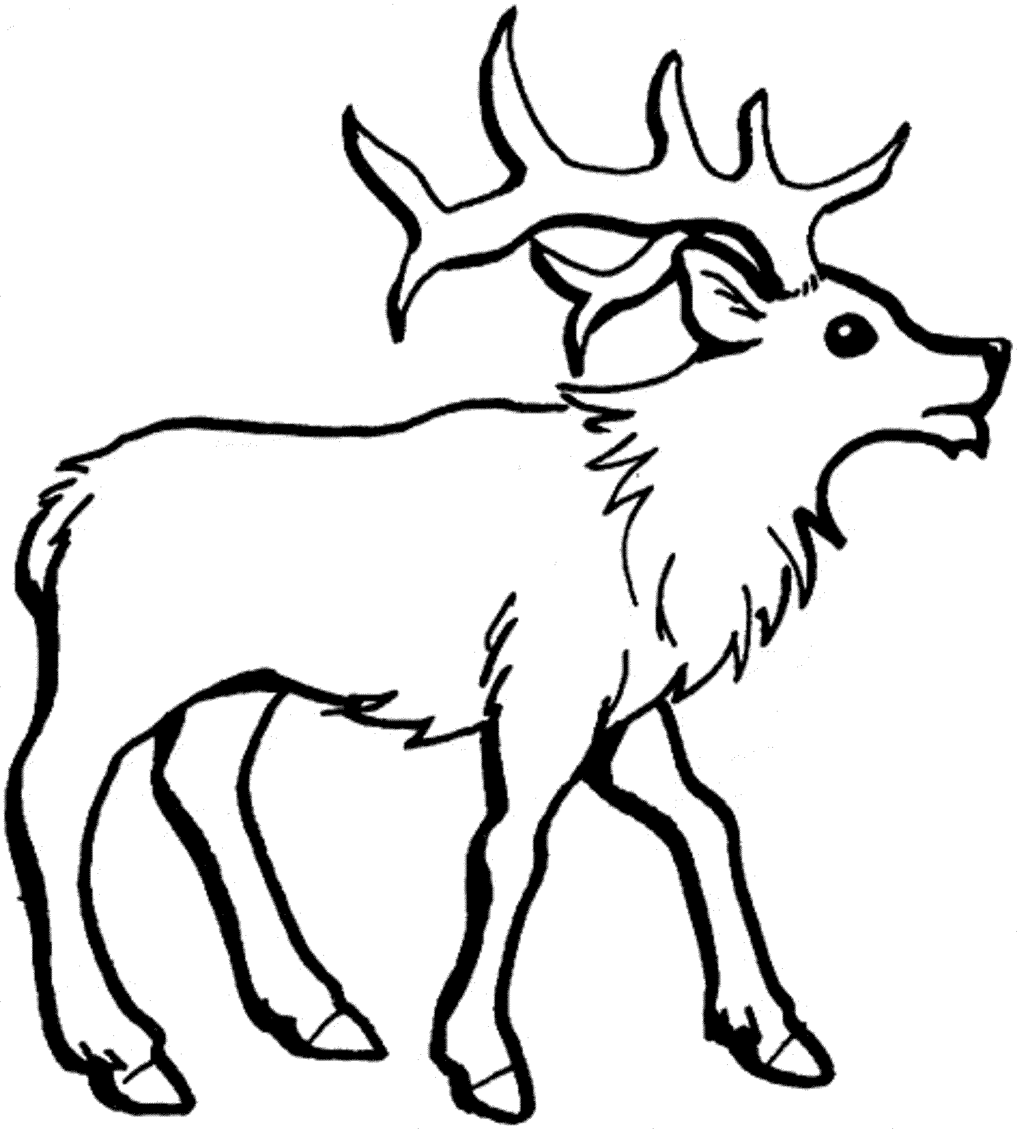 2000x2220 Reindeer Coloring Page Sheets Colouring Pages Ribsvigyapan