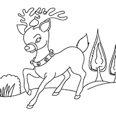 230x230 Top 20 Free Printable Reindeer Coloring Pages Online