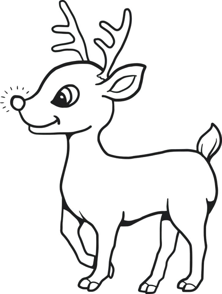 725x960 Reindeer Coloring Pages Funny Reindeer Face Rudolph The Red Nosed