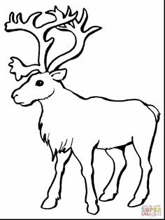 236x314 Longship Viking Sea Vessel Coloring Page Coloring Pictures