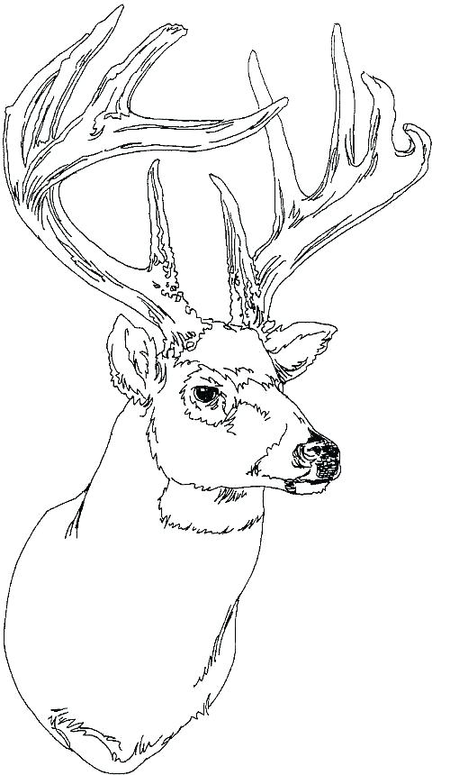 500x860 Printable Reindeer Face Reindeer Face Printable Cartoon Reindeer
