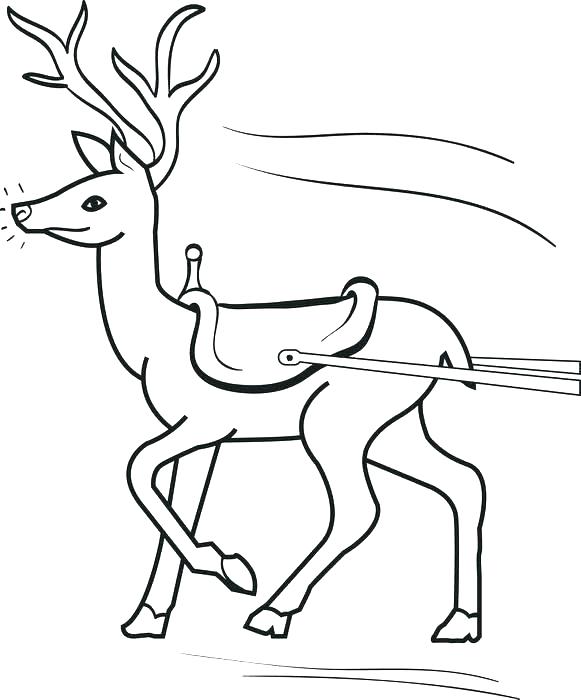 581x700 Reindeer Colouring Pages Reindeer Color Page Reindeer Coloring