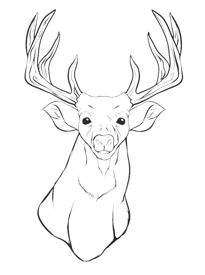 680x911 Reindeer Head Coloring Page Deer Pages Print Hand Colouring Book