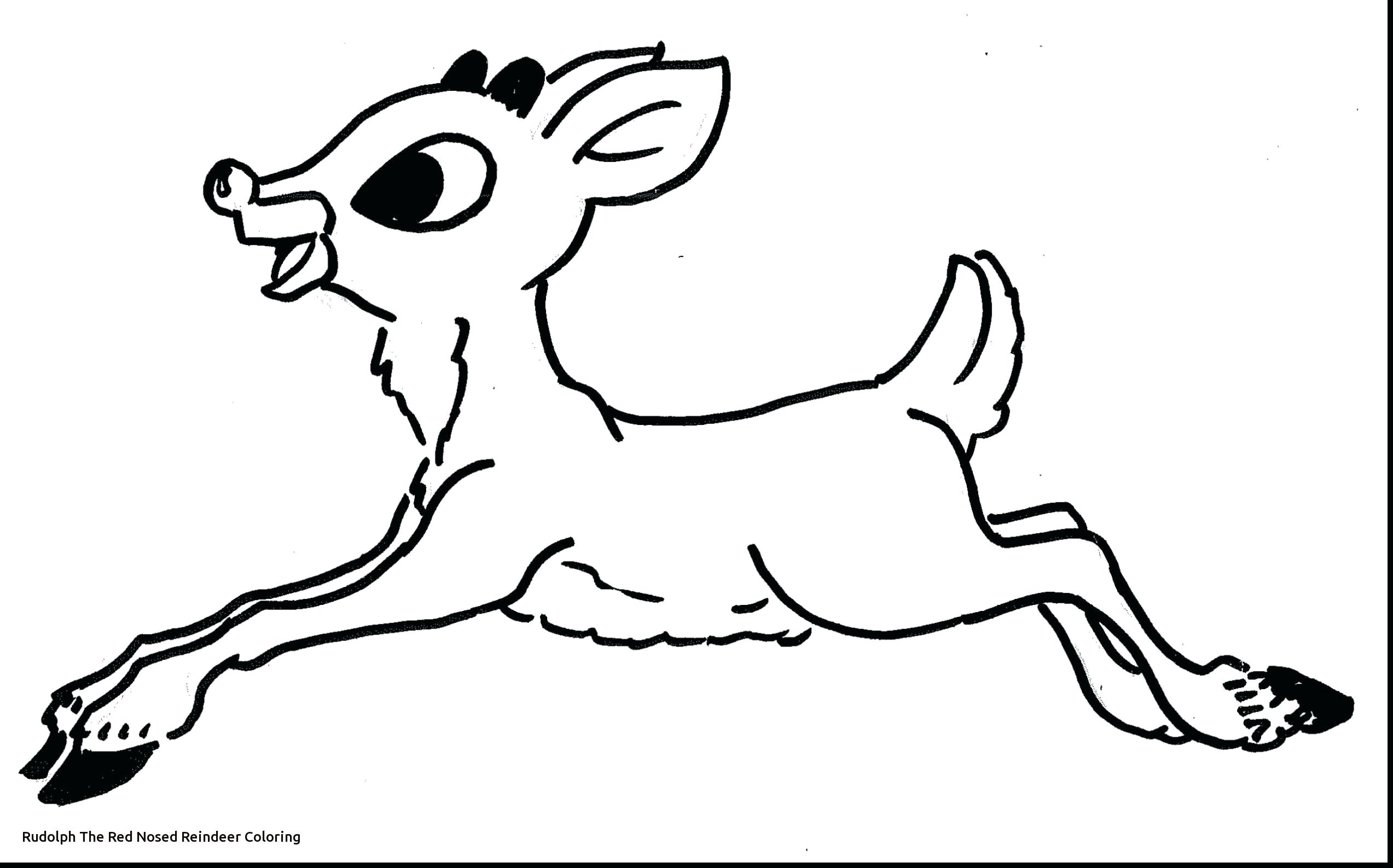 2546x1587 Reindeer Coloring Page Santa And The Red Nosed Printable Reindeer