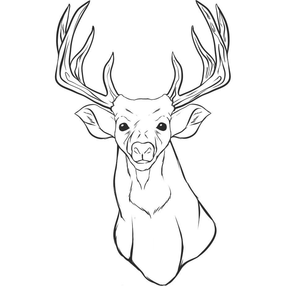 924x924 Free Printable Deer Coloring Pages For Kids Reindeer Head, Adult