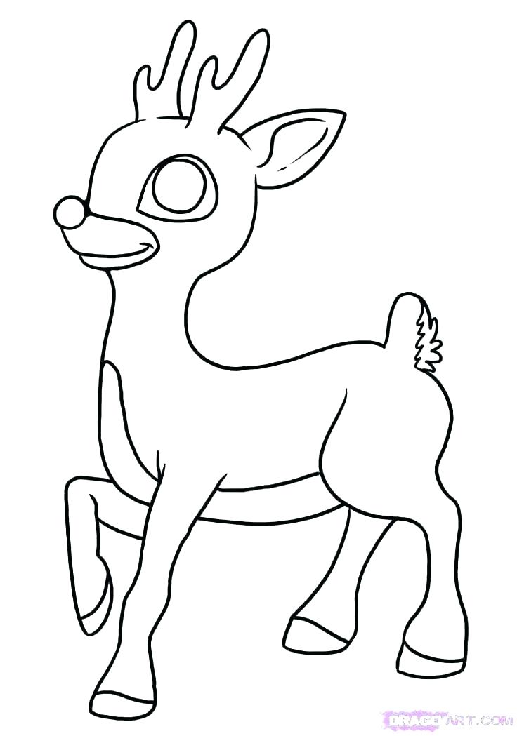 736x1049 Reindeer Color Page And The Red Nose Reindeer Coloring Pages Cute