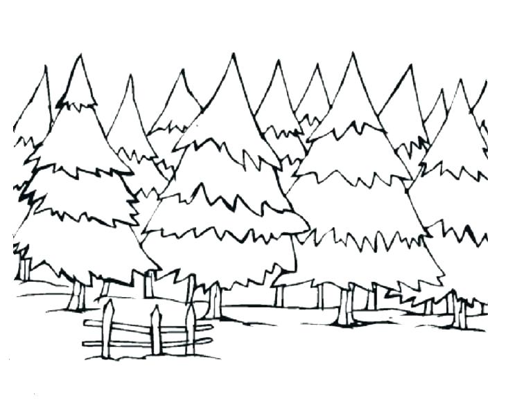 733x595 Renewable Energy Coloring Pages Energy Coloring Pages S S S Solar