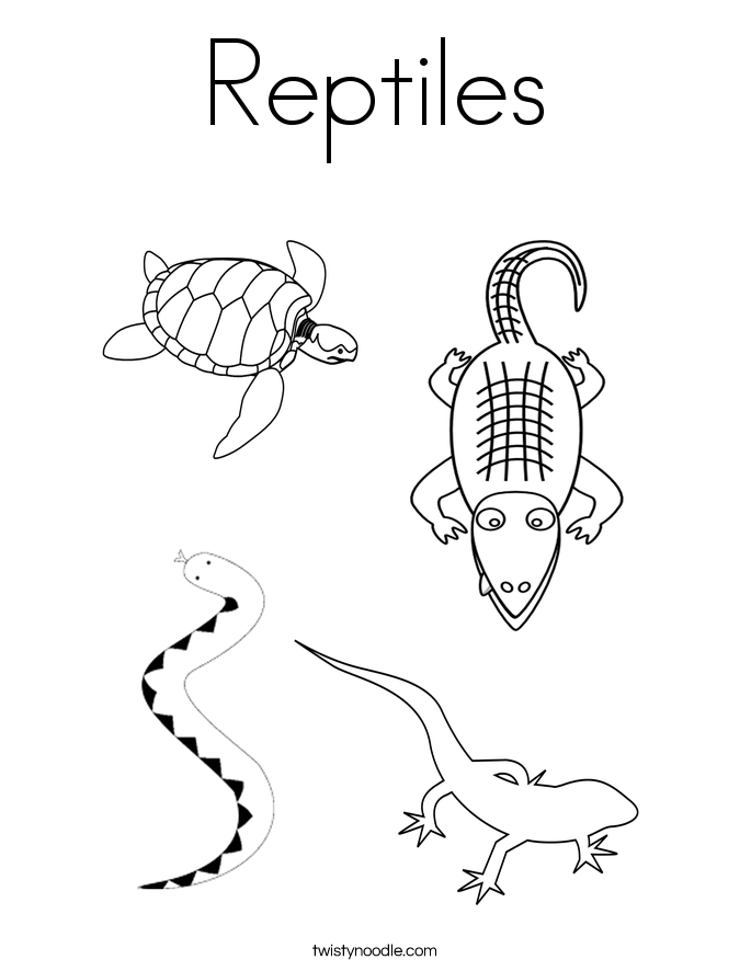 685x886 Reptile Coloring Pages