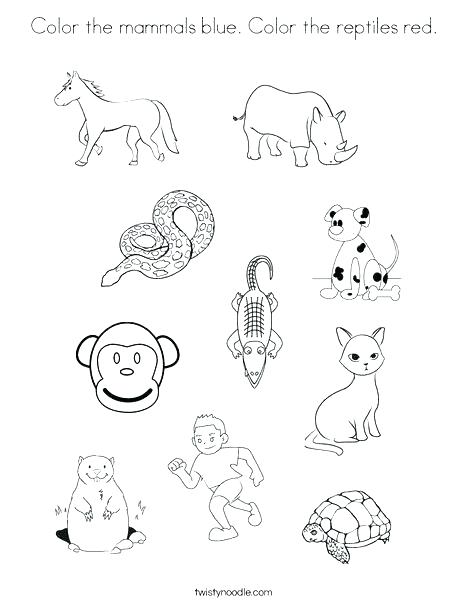 468x605 Reptile Coloring Pages Reptiles Coloring Pages Coloring Pages