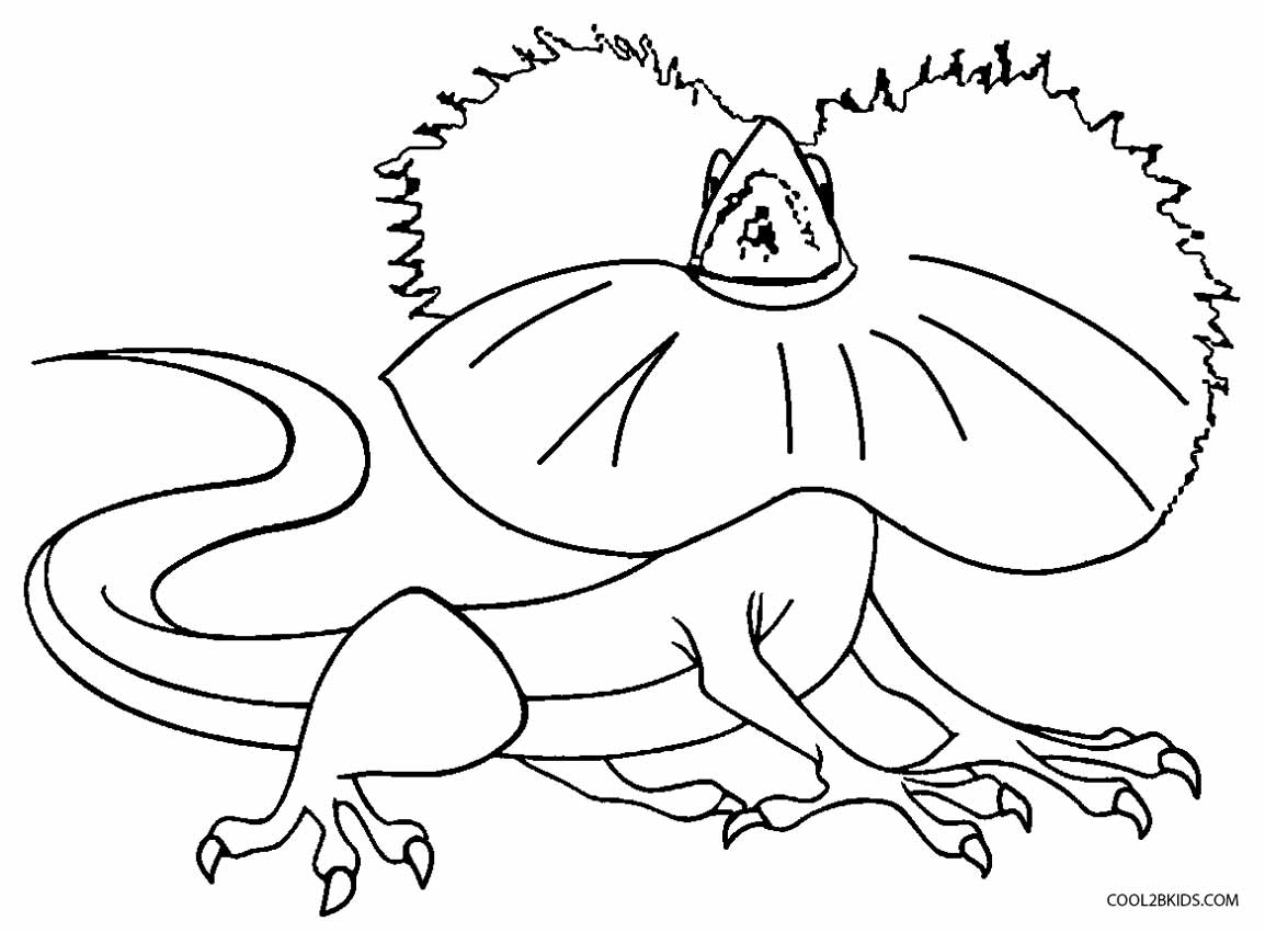 1154x850 Printable Lizard Coloring Pages For Kids Cool2bkids Lizard