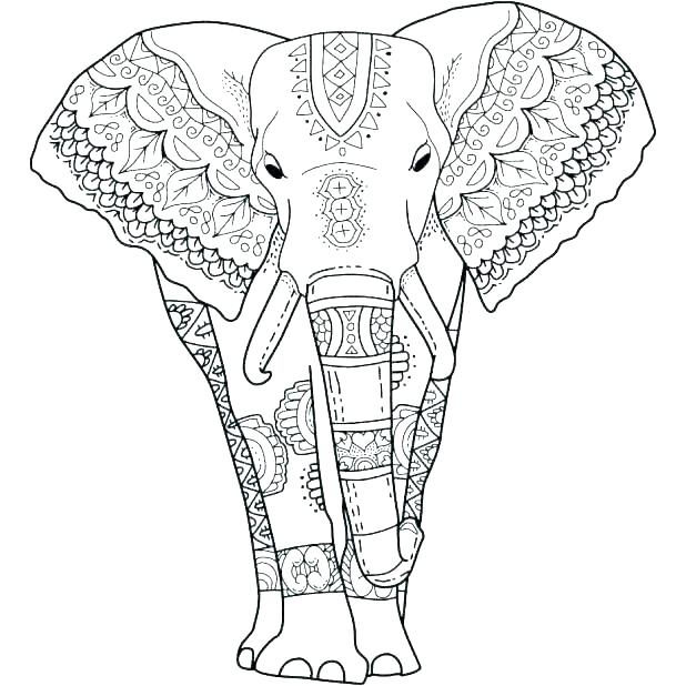 618x618 Coloring Page Elephant Medium Size Of Elephant Coloring Pages