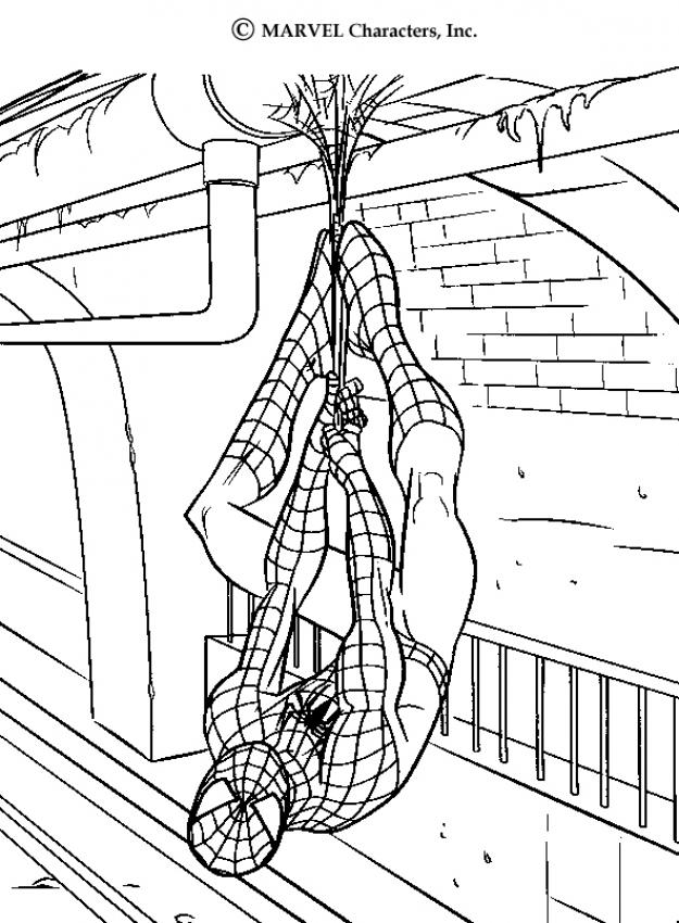 625x850 Spider Man Coloring Pages