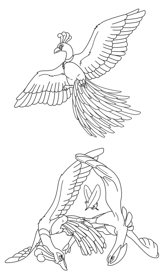 564x940 Reshiram. Lineart By Moxie2d On Lineart Pokemon