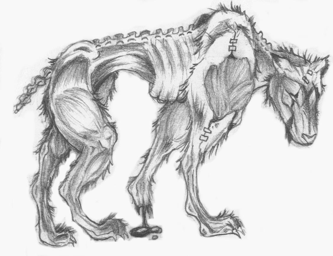 1126x866 Resident Evil Dog By Nickademus Devia On How To Draw Images