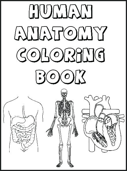 440x594 Respiratory System Coloring Page Human Anatomy Coloring Book Pages
