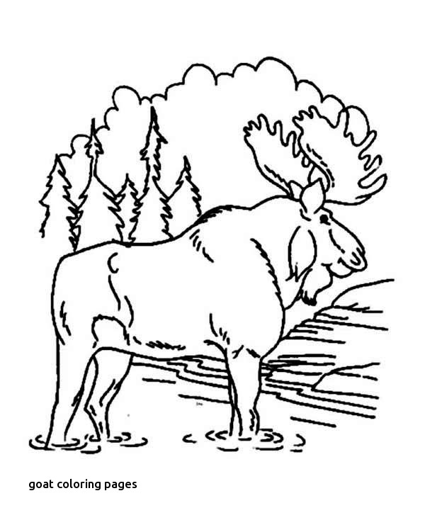 600x734 32 Best Johns Retirement Images On For Goat Coloring