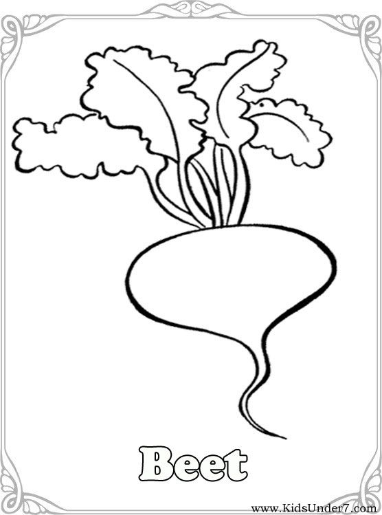556x749 Vegetables Coloring Pages.vegetable Coloring. Find Free Coloring