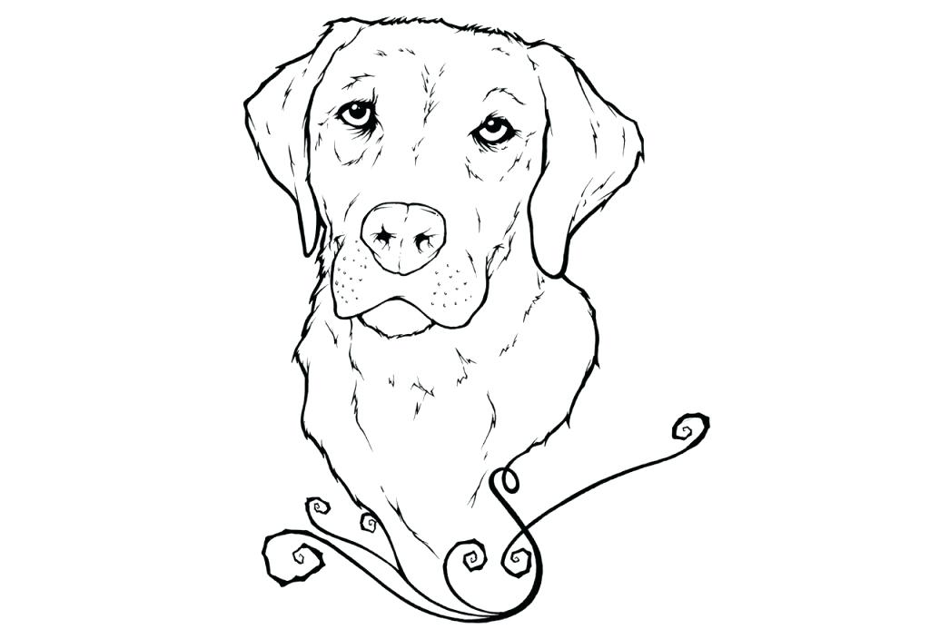 1024x704 Golden Retriever Coloring Pages Inspirational Photograph Of Golden