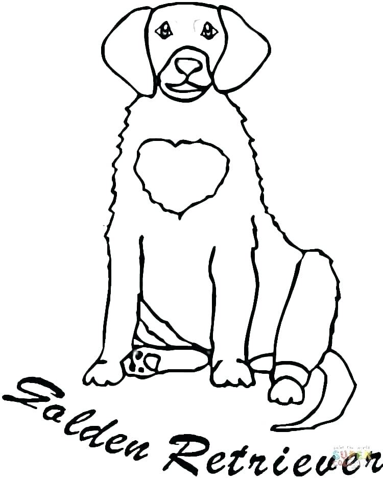 750x938 Labrador Retriever Coloring Pages Click The Golden Dog Puppy