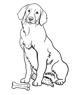 236x305 Printable Golden Retriever Coloring Page. Free Pdf Download