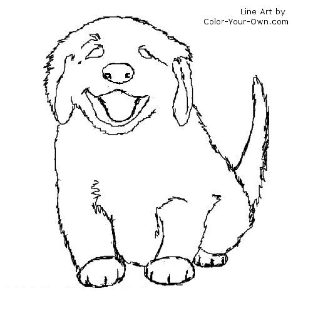 1024x1024 Coloring Pages Husky Puppy Fresh Drawn Golden Retriever Best