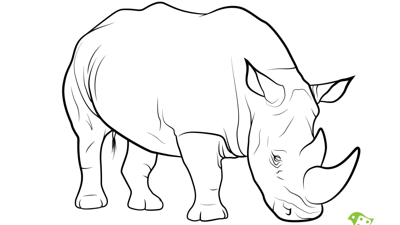 1366x768 Realistic Rhino Coloring Pages Look Real Animals Rhinoceros Page