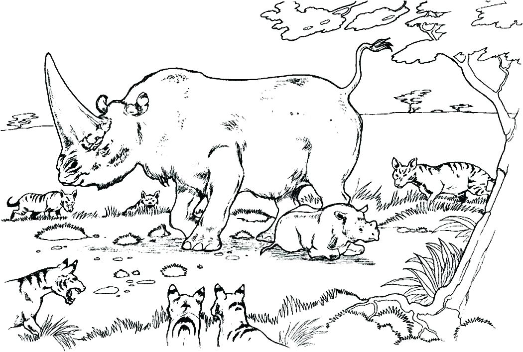 1050x707 Rhino Coloring Page Best Rhino Coloring Pages Images On Baby Rhino