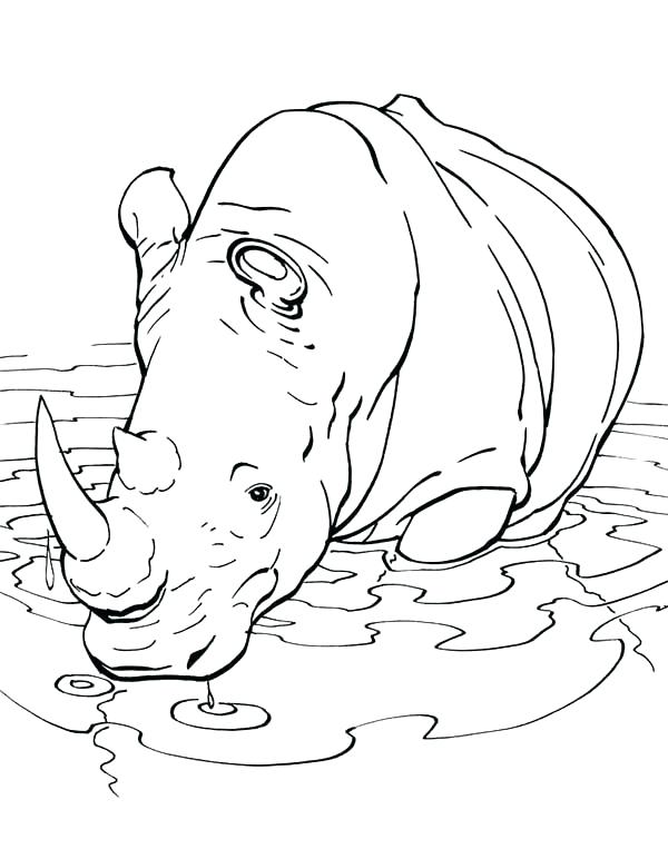 600x763 Spiderman Rhino Coloring Pages Printable Rhinoceros Coloring Pages