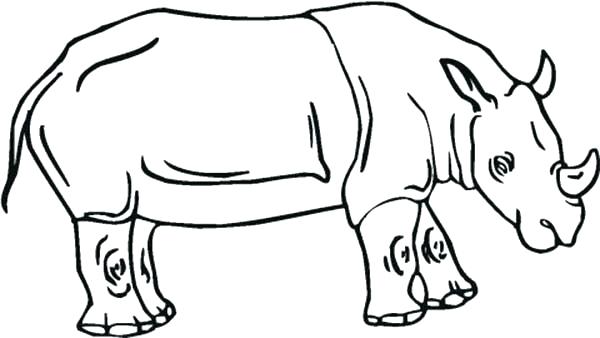 600x338 Rhino Coloring Pages Learn About Rhino Coloring Pages Batch