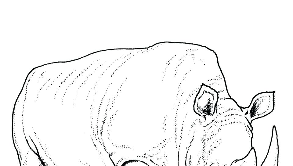 960x544 Rhino Coloring Pages Realistic Rhino Coloring Pages Ashleyoneill.co