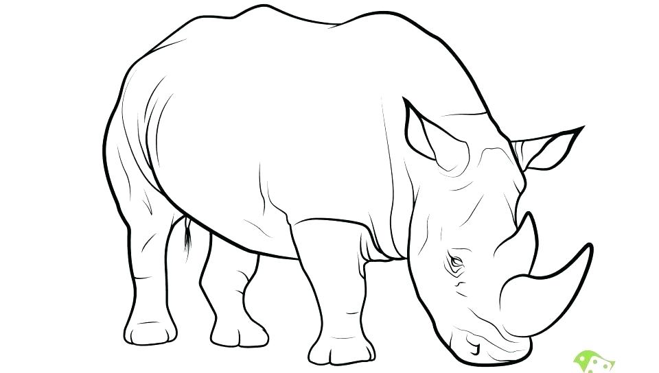 960x544 Rhino Coloring Pages Rhino Coloring Page Angry Rhino Coloring Page