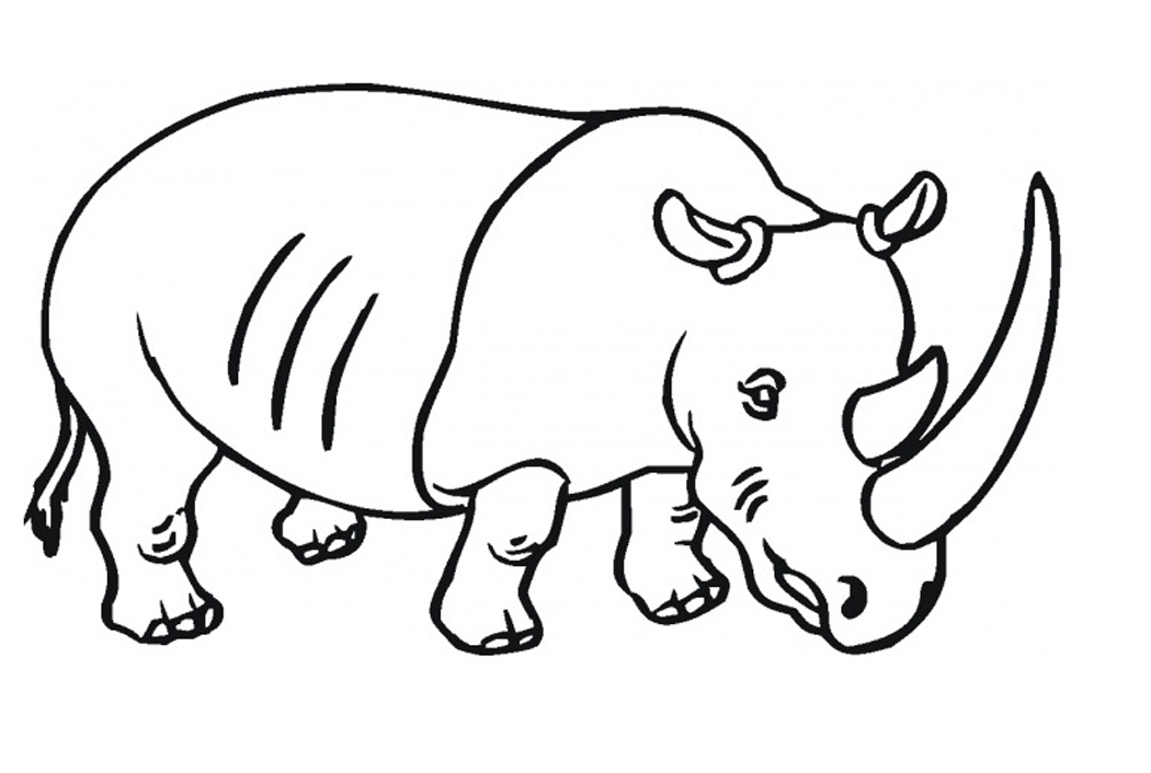 1050x706 Rhinoceros Coloring Page Printable Rhinoceros Coloring Pages