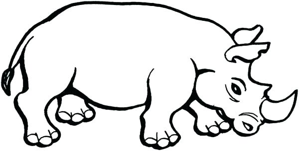 600x304 Rhinoceros Coloring Page Rhinoceros Coloring Page Rhinoceros