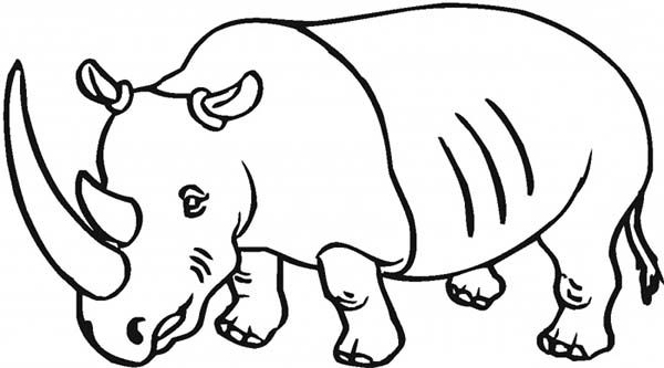 600x333 Drawing Rhino Coloring Pages On Rhino Coloring Page