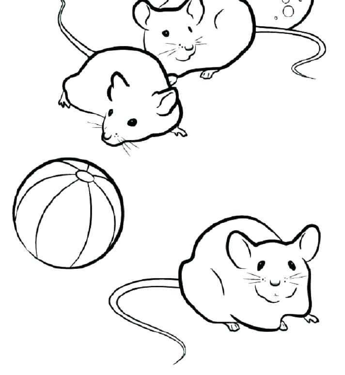 712x774 Island Coloring Page Lab Rats Coloring Pages Rat Coloring Pages
