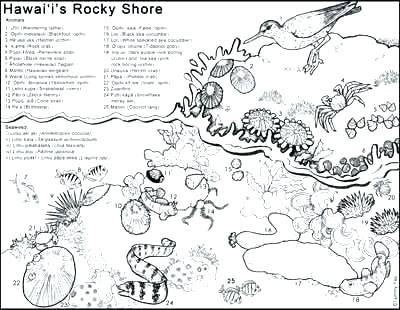 400x310 Island Coloring Page Pics Tropical Island Coloring Page A Free
