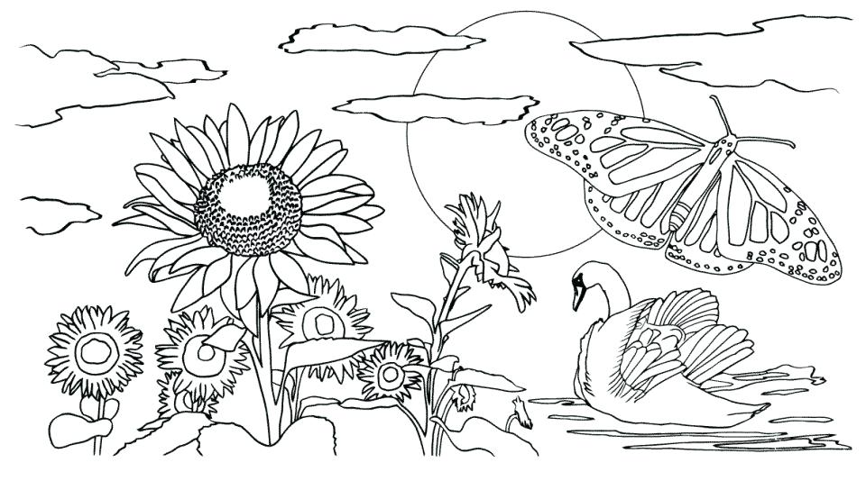 960x544 Island Coloring Pages Nature Island Coloring Pages Print With Palm