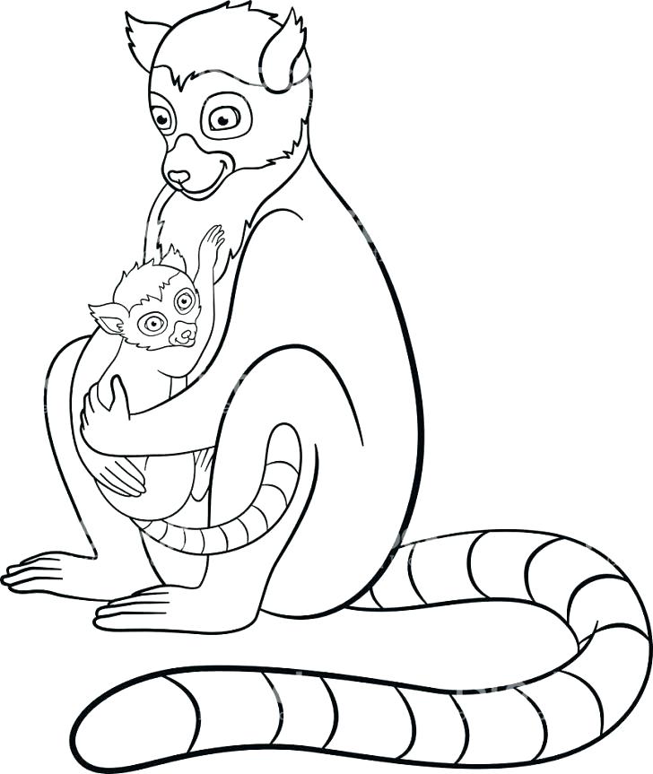 728x863 Lemur Coloring Page Lemur Coloring Page Lemur Coloring Page