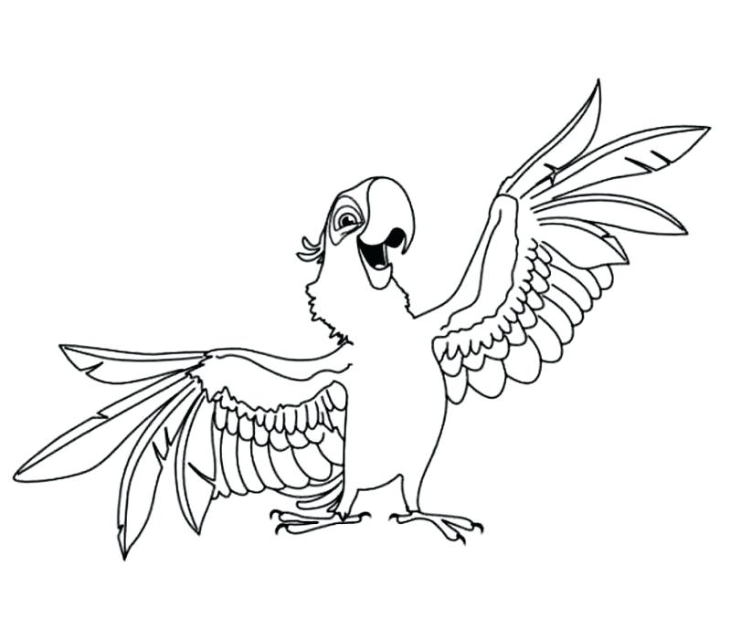 800x700 Jewel Coloring Pages Rio Jewel Coloring Pages