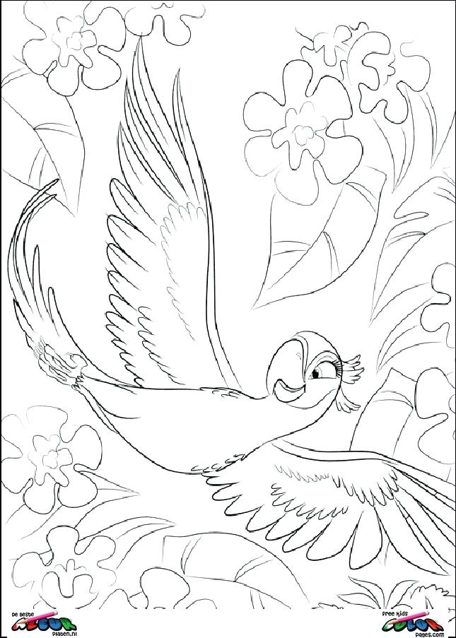 645x903 Rio Coloring Pages Ideas Coloring Pages For Coloring Pages Online