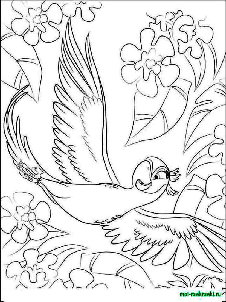 750x1000 Rio And Rio 2 Coloring Pages. Free Printable Rio And Rio 2