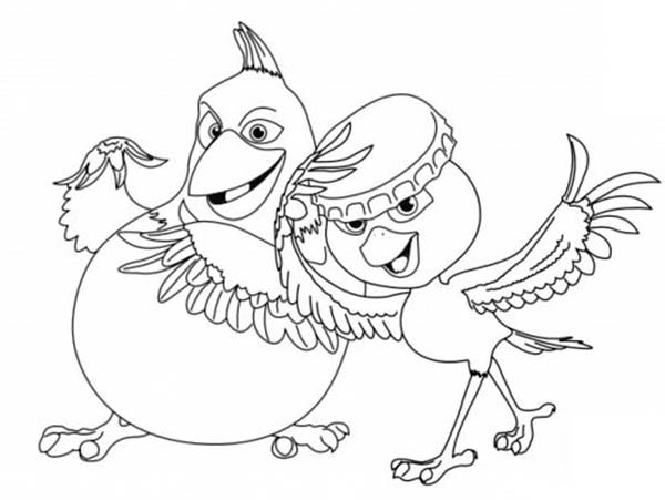 600x451 Nico The Yellow Canary And Pedro The Red Crested Cardinal From Rio