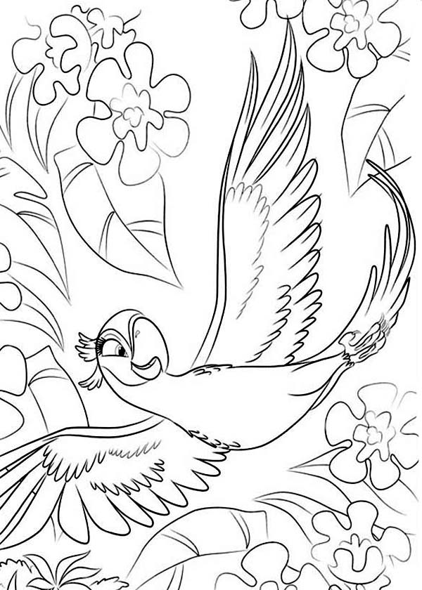 600x840 Beautiful Jewel Is Flying In Rio Movie Coloring Pages Batch Coloring