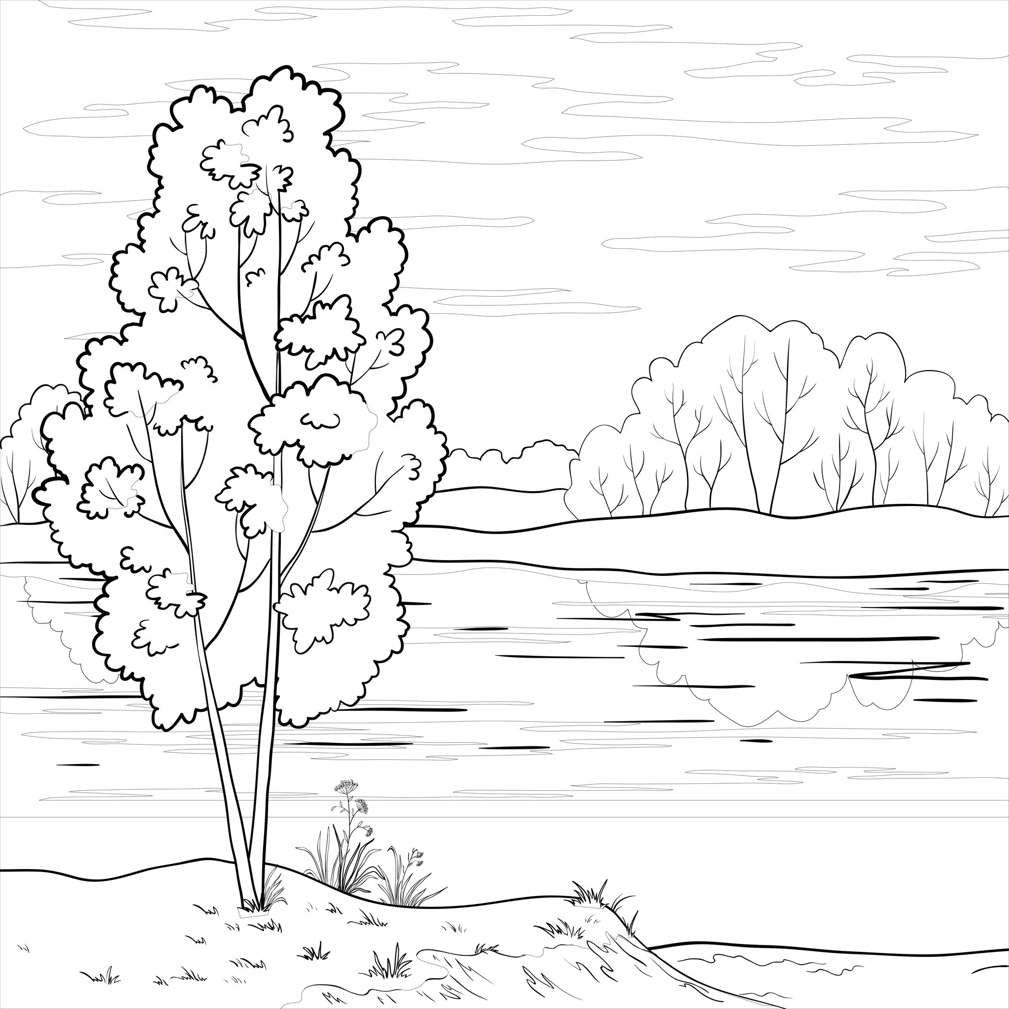 2048x2048 River