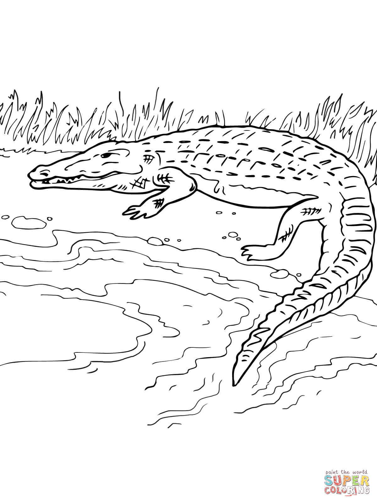 1200x1600 River Coloring Pages Page Image Clipart Images
