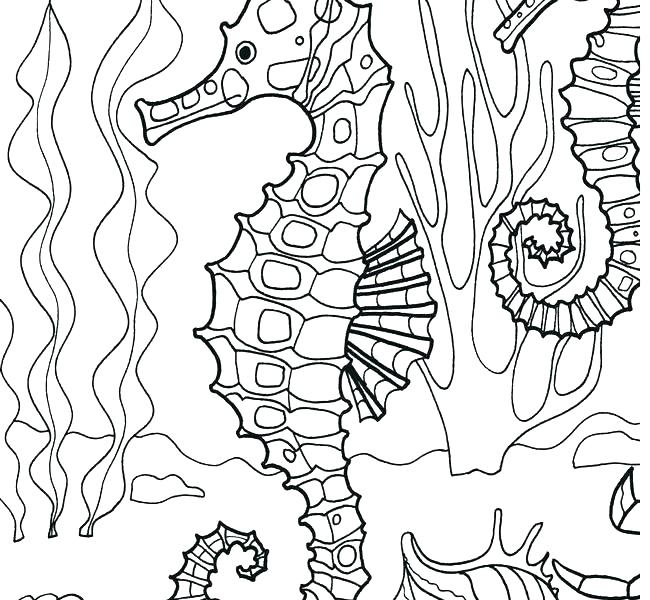 650x600 Otter Coloring Page Otter Coloring Sheet River Page Org Org Cute