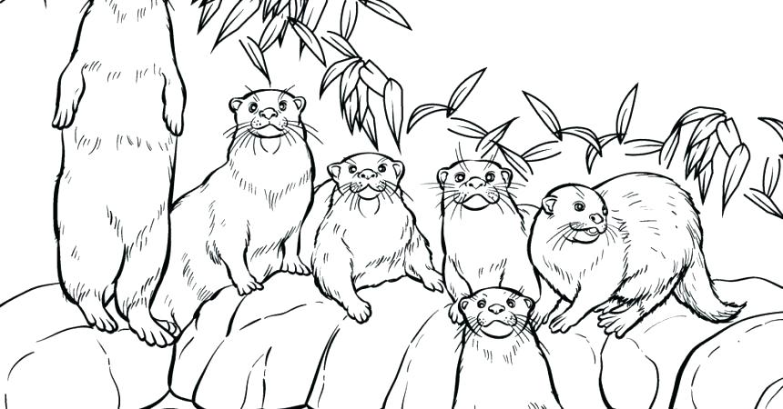 860x450 Otter Coloring Page River Otter Coloring Page Cute Otter Coloring
