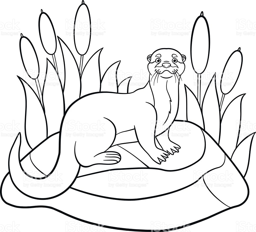 1024x931 Otter Coloring Pages