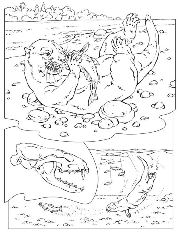 618x800 River Otter Coloring Pages, Sea Otter With A Fish Ink Spots
